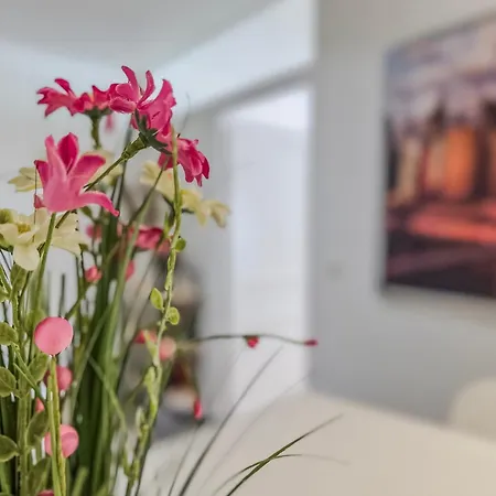 Appartement Le Palais - Hypercentre